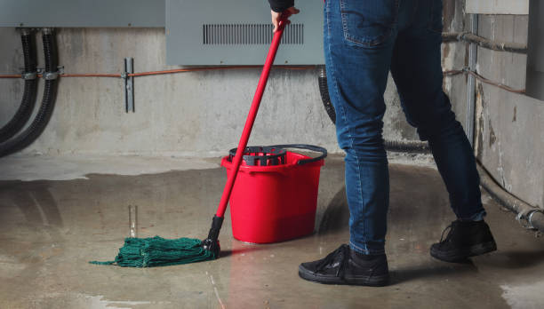Best Ceiling water damage repair  in Lowell, OR