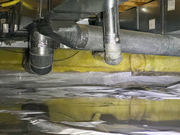 Best Water damage restoration services  in Lowell, OR